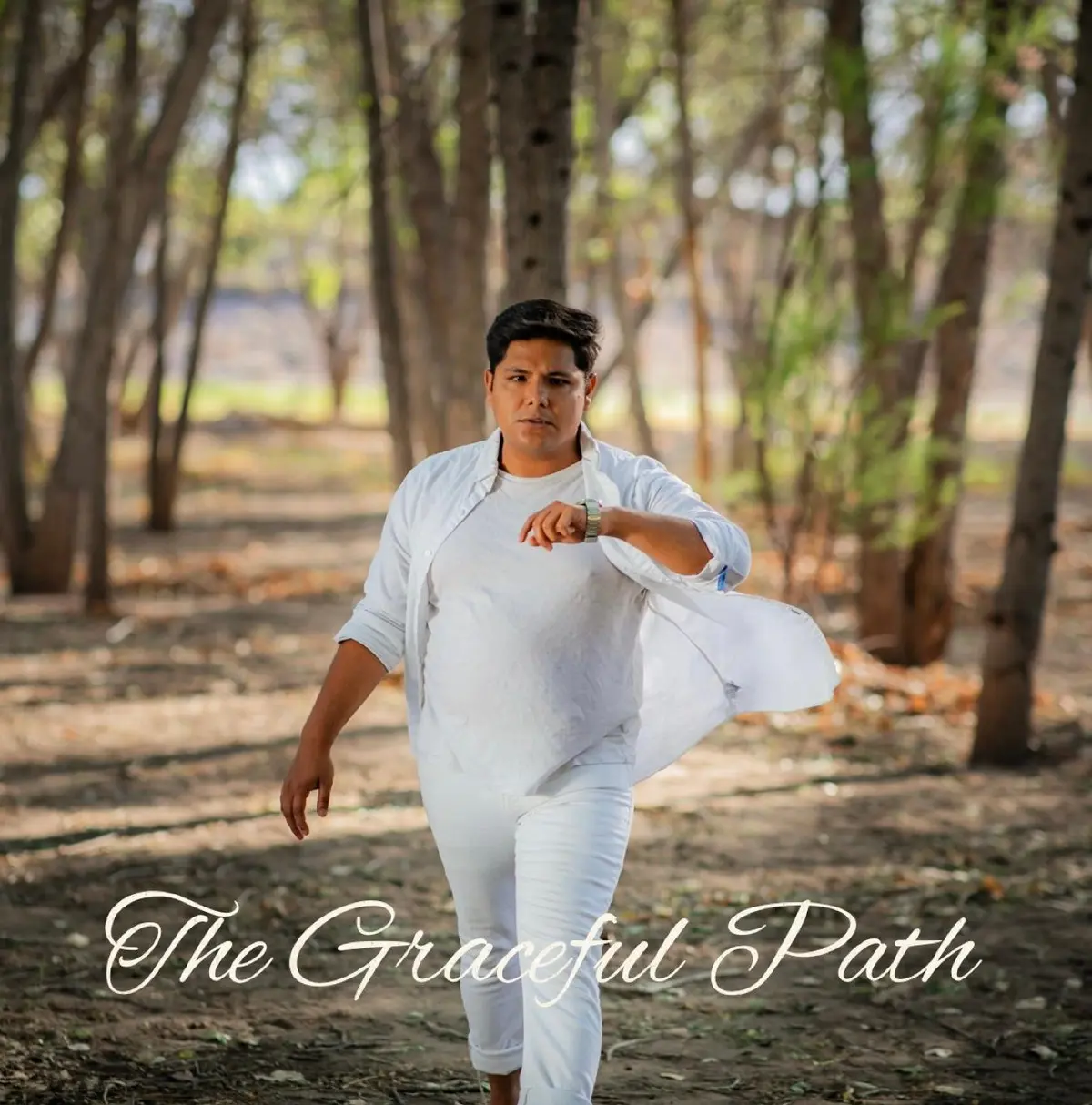 bg cover for The Graceful Path