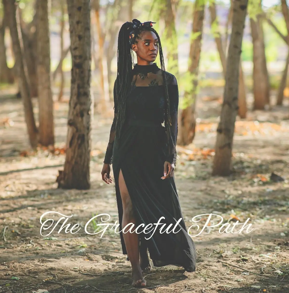 bg cover for The Graceful Path