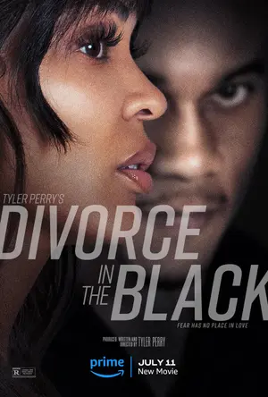 poster for Tyler Perry's Divorce in the Black