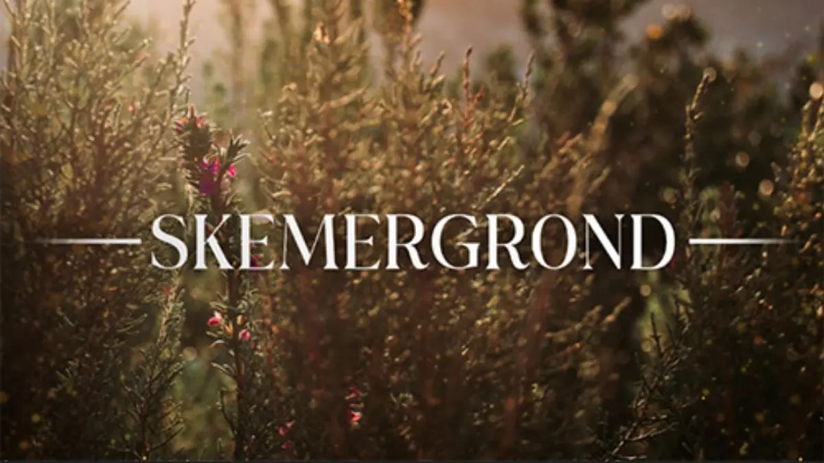 bg cover for Skemergrond