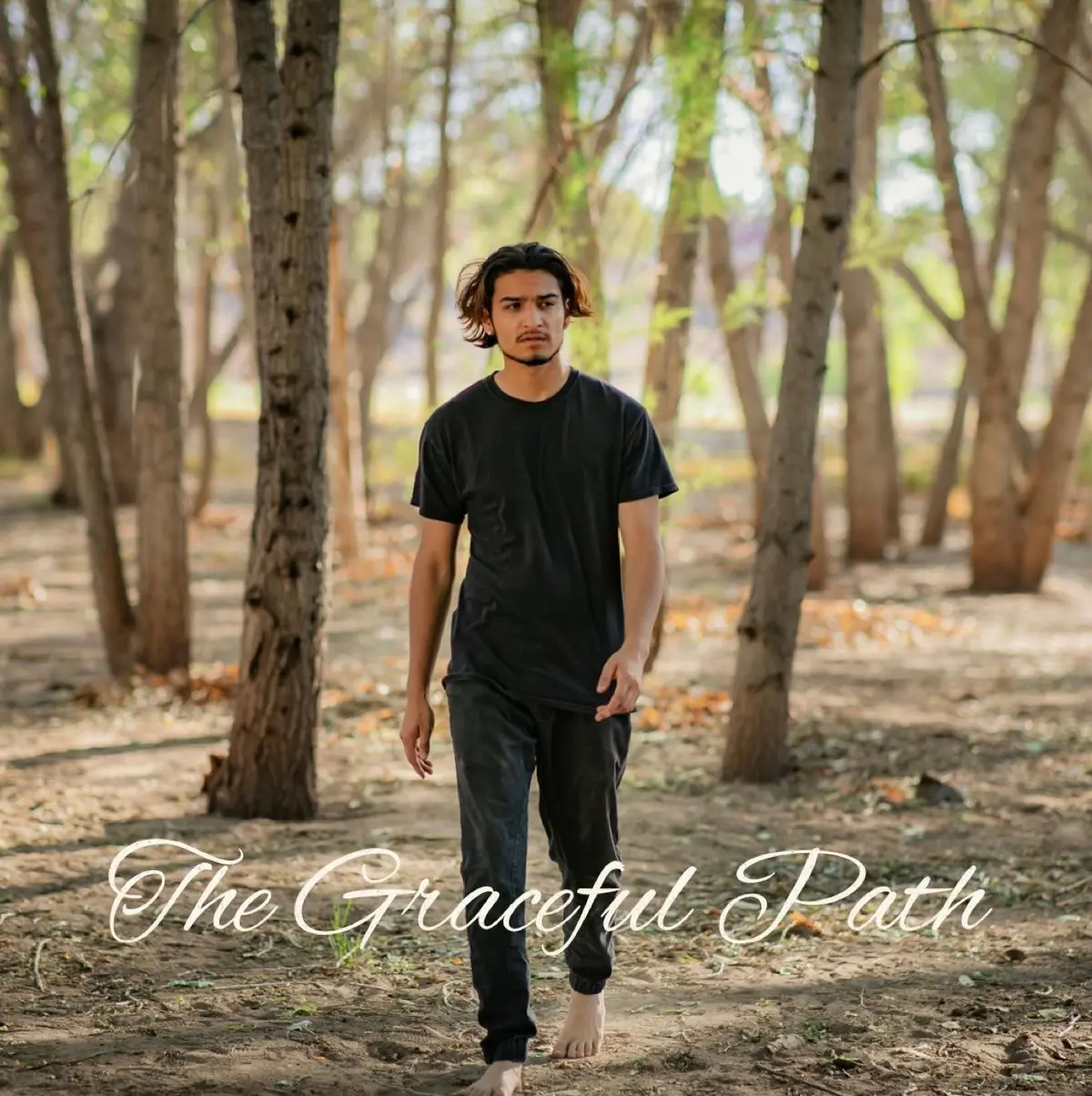 bg cover for The Graceful Path