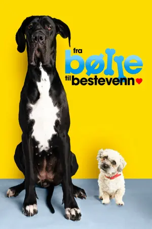 poster for Fra bølle til bestevenn